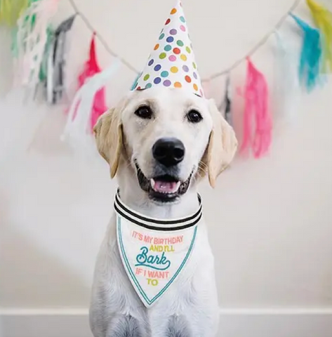 Dog Bandana